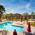 Traveling with Your Pet: A Guide to Pet-Friendly Hotels in Maricopa County, AZ